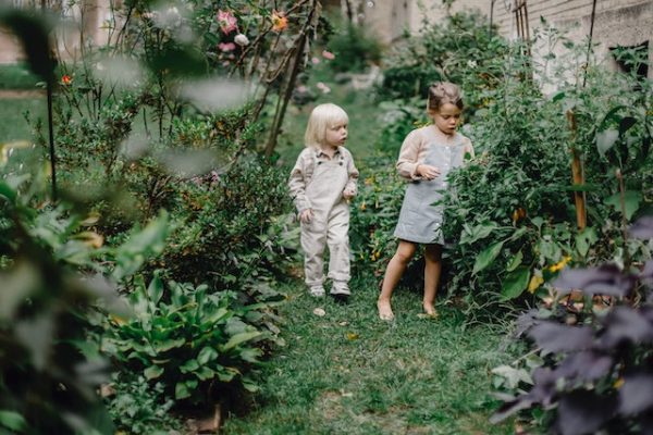 Gartenarbeit als Stressabbau: Entspannung durch Erdkontakt